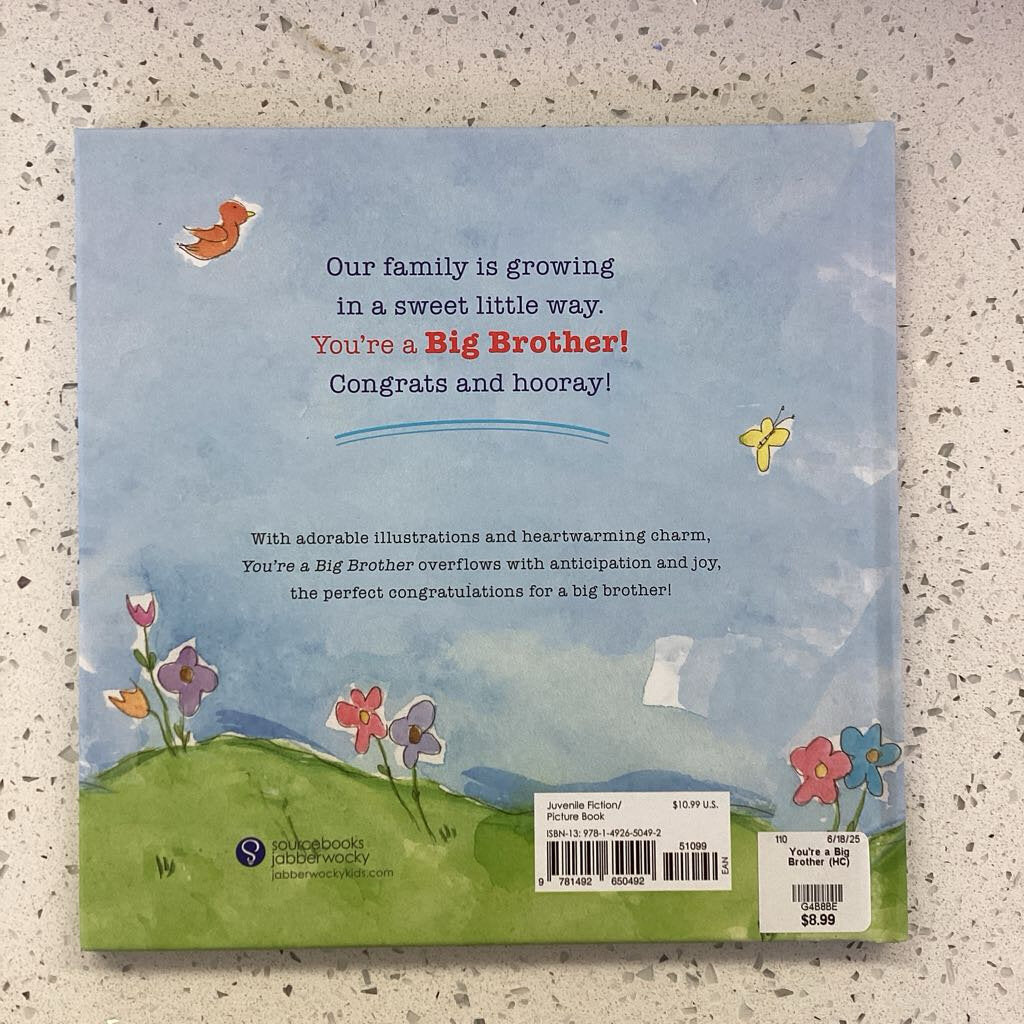 You're a Big Brother (HC)