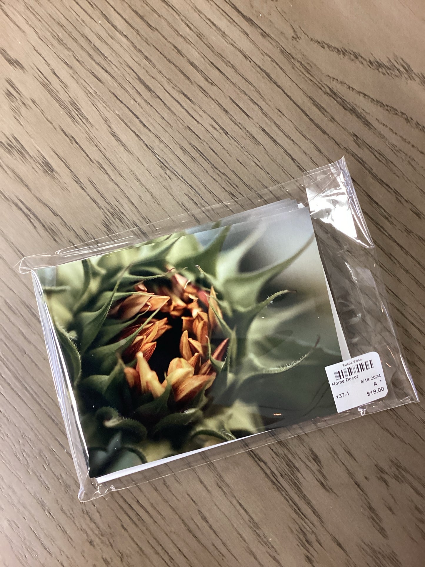 Notecard 5 pack Sunflower