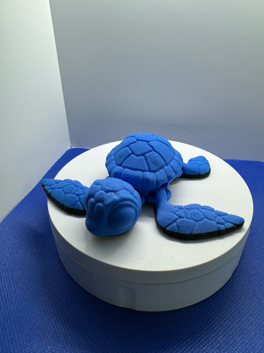 Turtle Light Blue