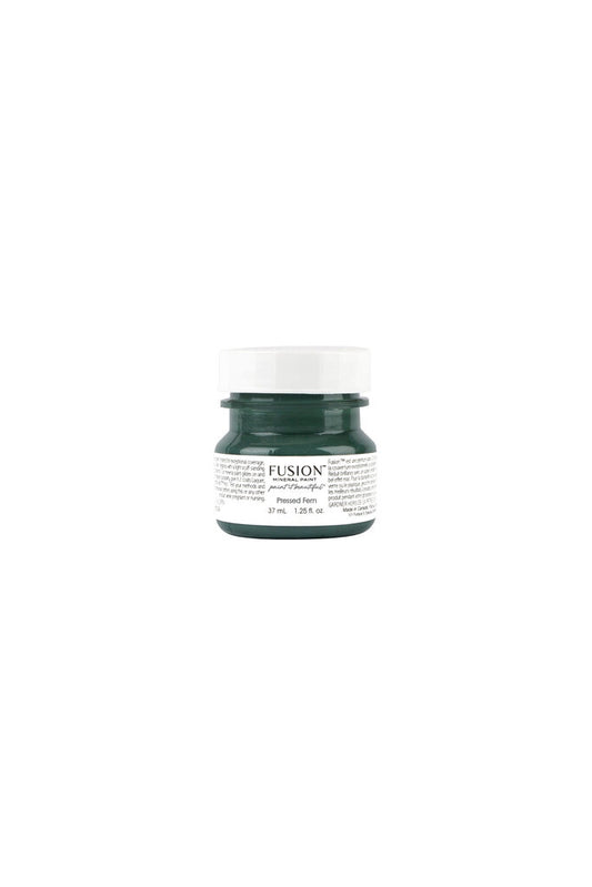 FM Pressed Fern Paint Sample
