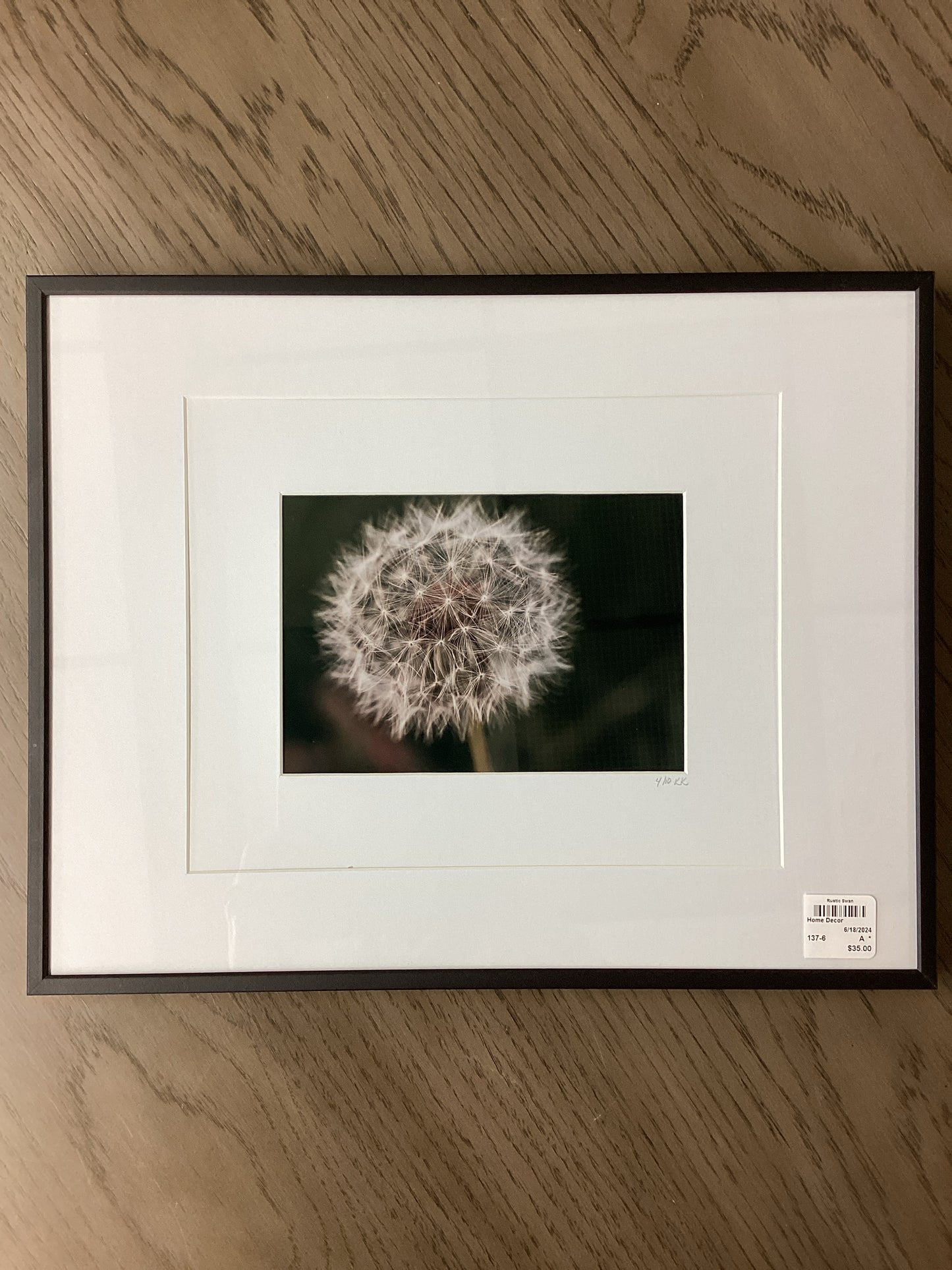 Framed photo Dandelion