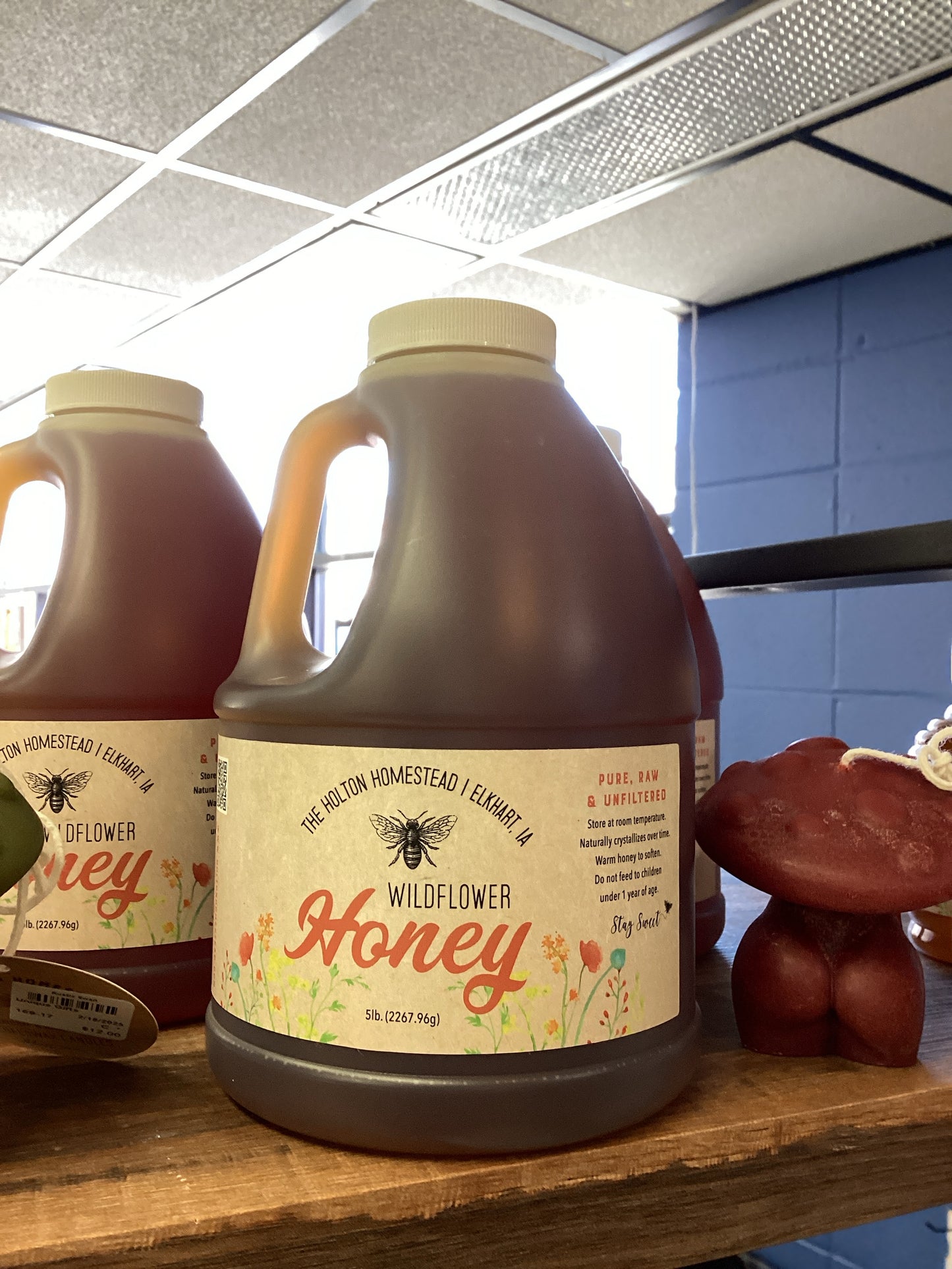 Wildflower Honey 5lb Jugs