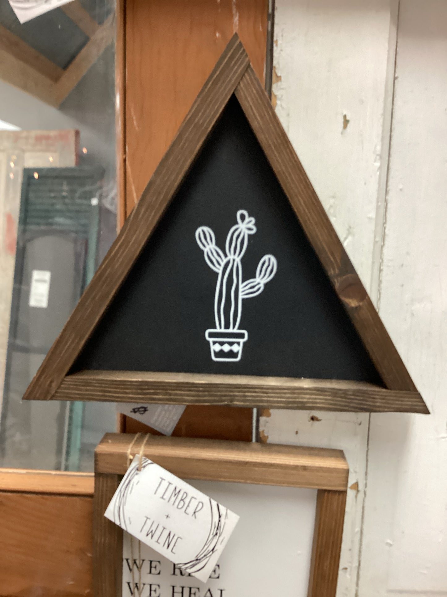 Triangle cactus Black