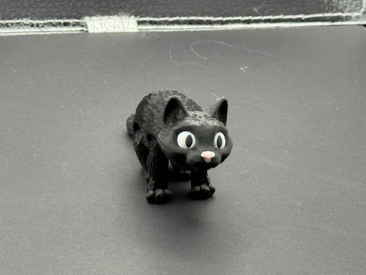 CAT BLACK