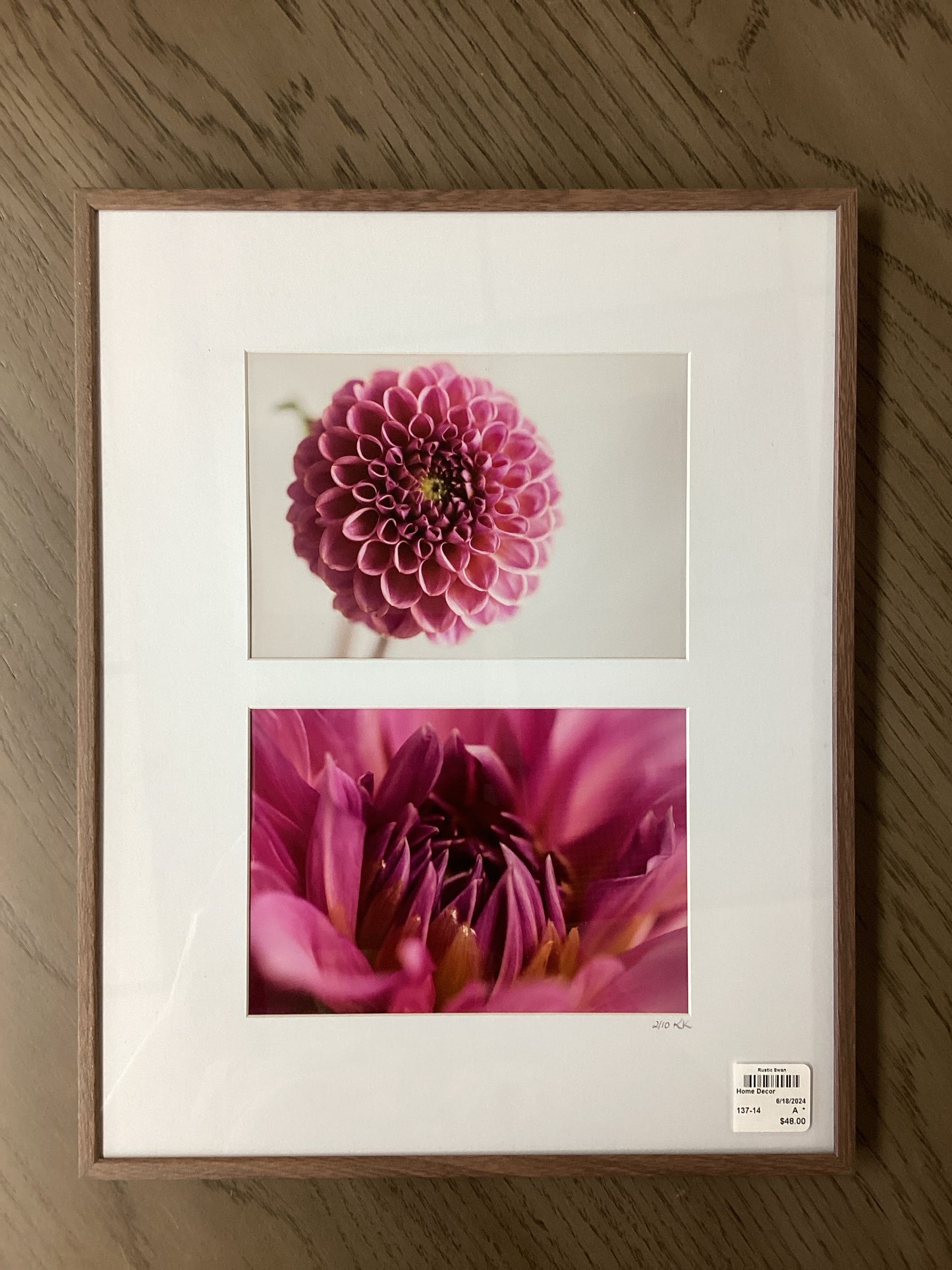 Framed photo Double Dahlia