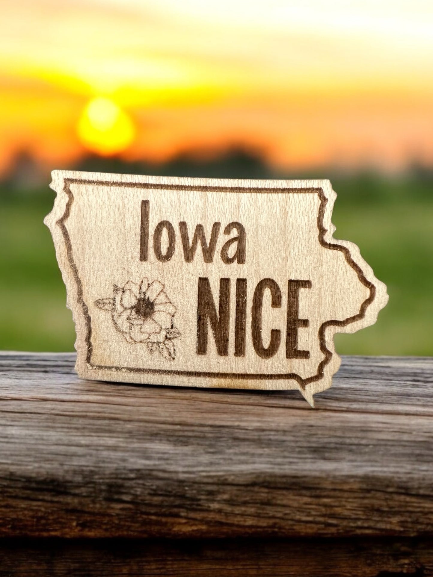 Iowa nice lapel pin