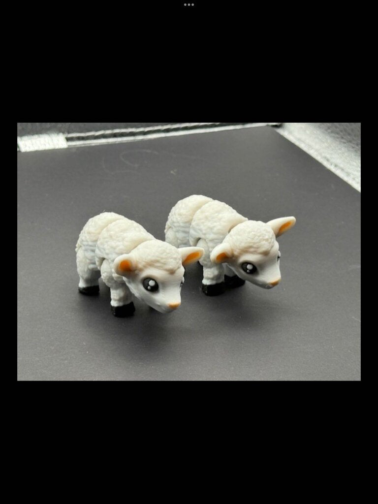 LAMB WHITE