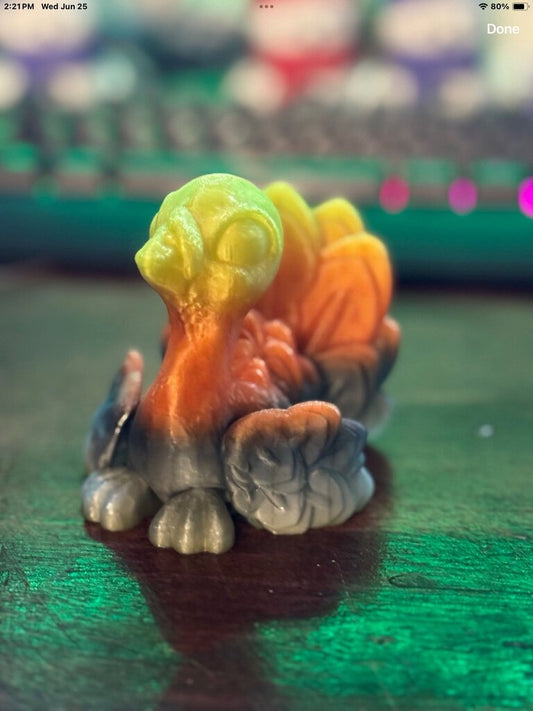Turkey -Rainbow