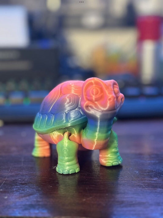 TORTOISE - Pink Purple