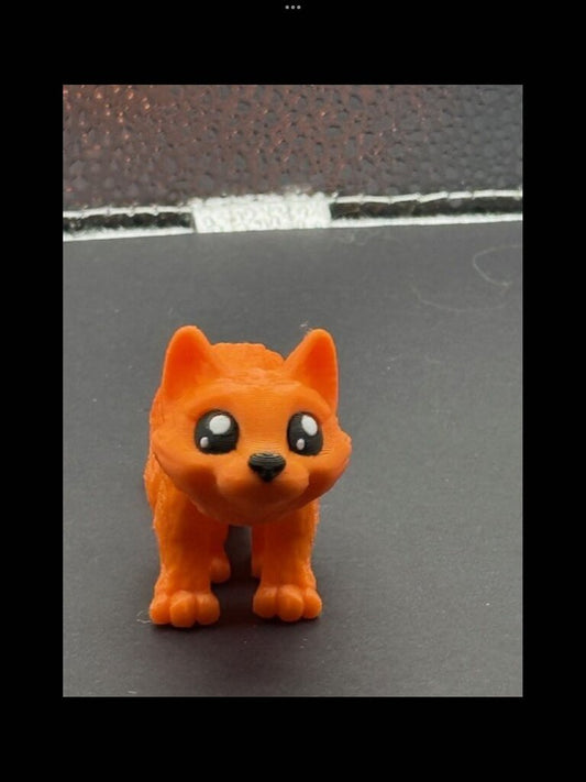 CAT ORANGE