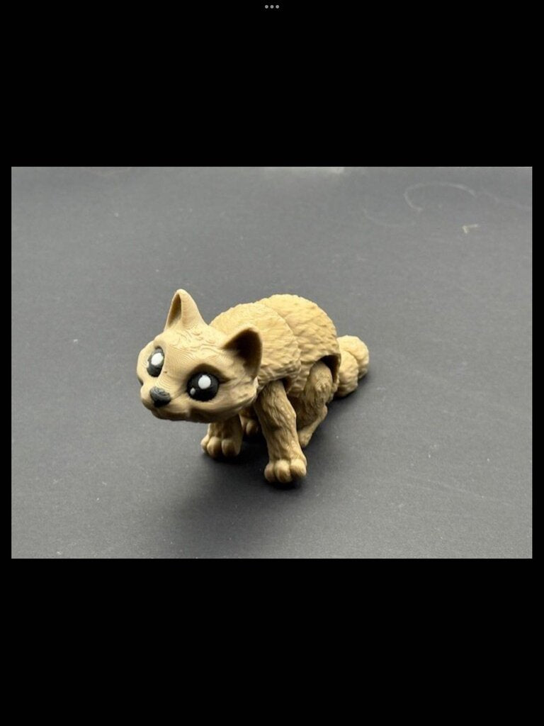 CAT TAN