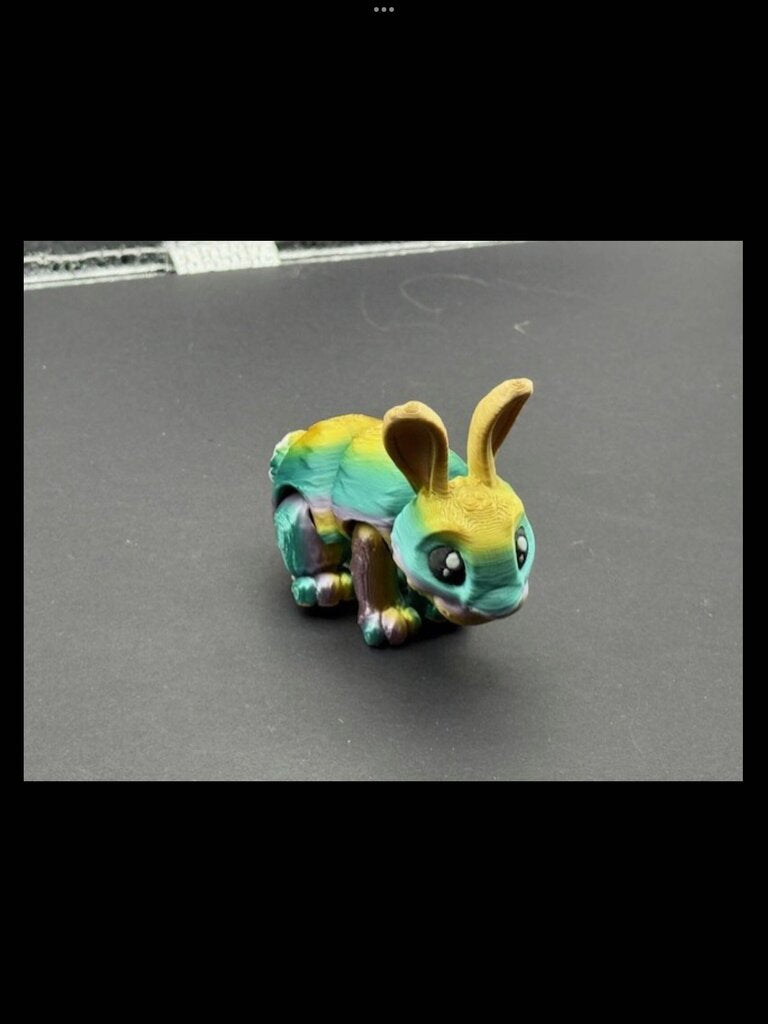 BUNNY RAINBOW