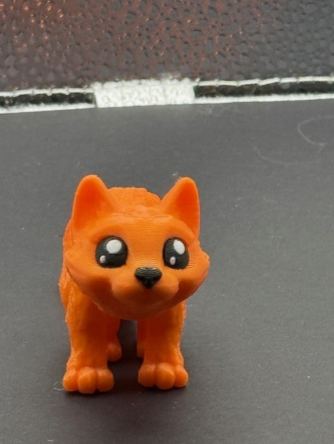 CAT ORANGE