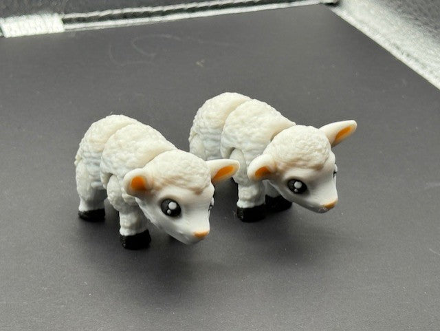 LAMB WHITE