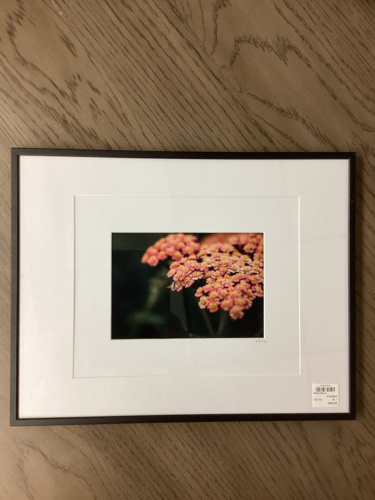 Framed photo Yarrow w/ bee