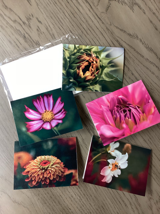 Notecard 5 pack Assorted