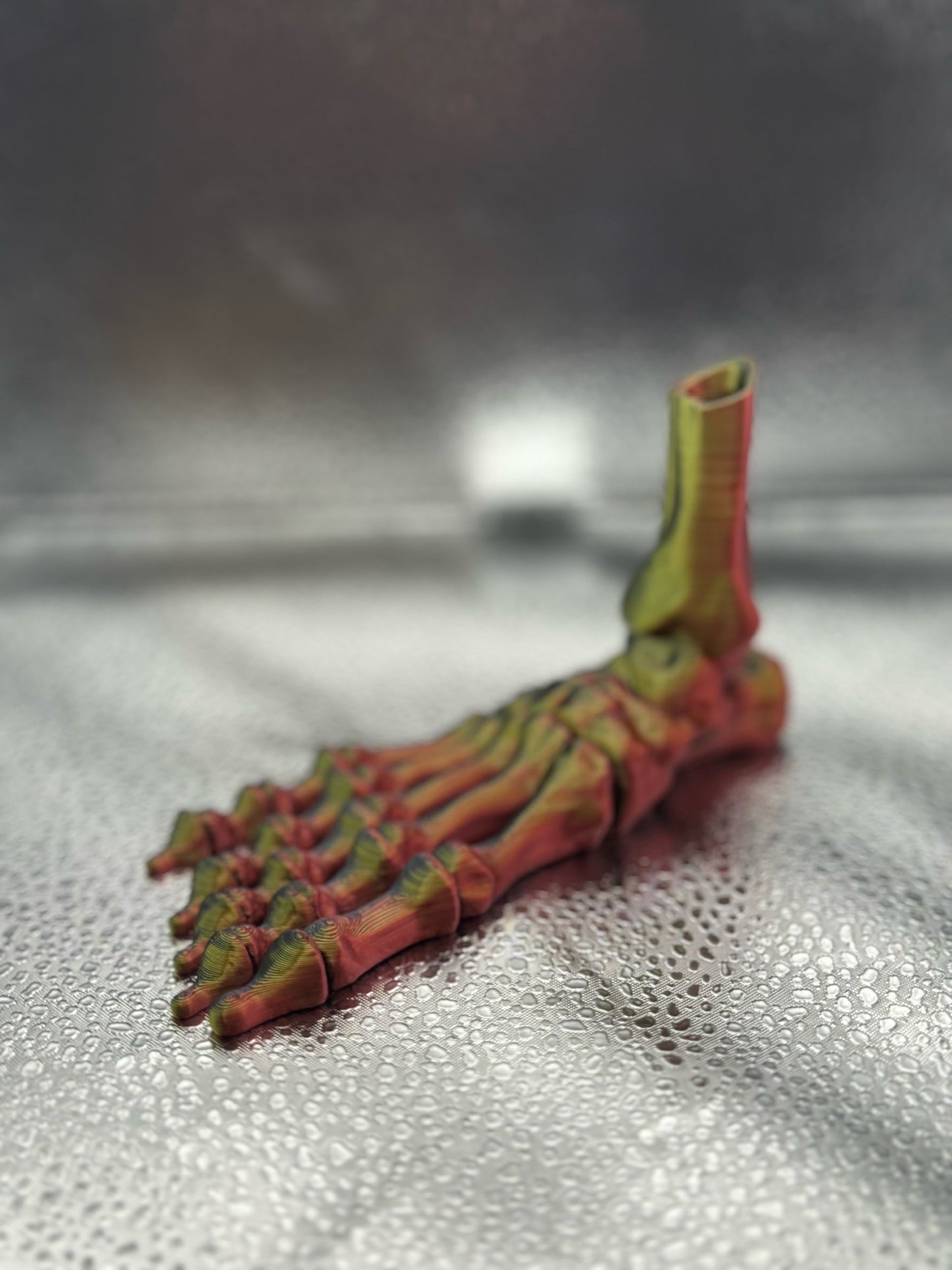 Skeleton Foot