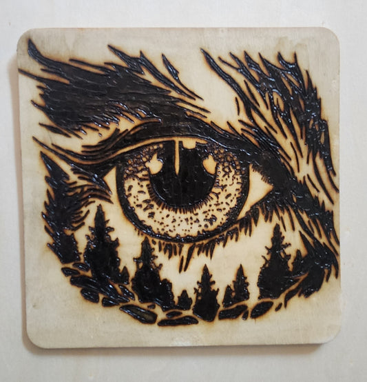 Owl Eye